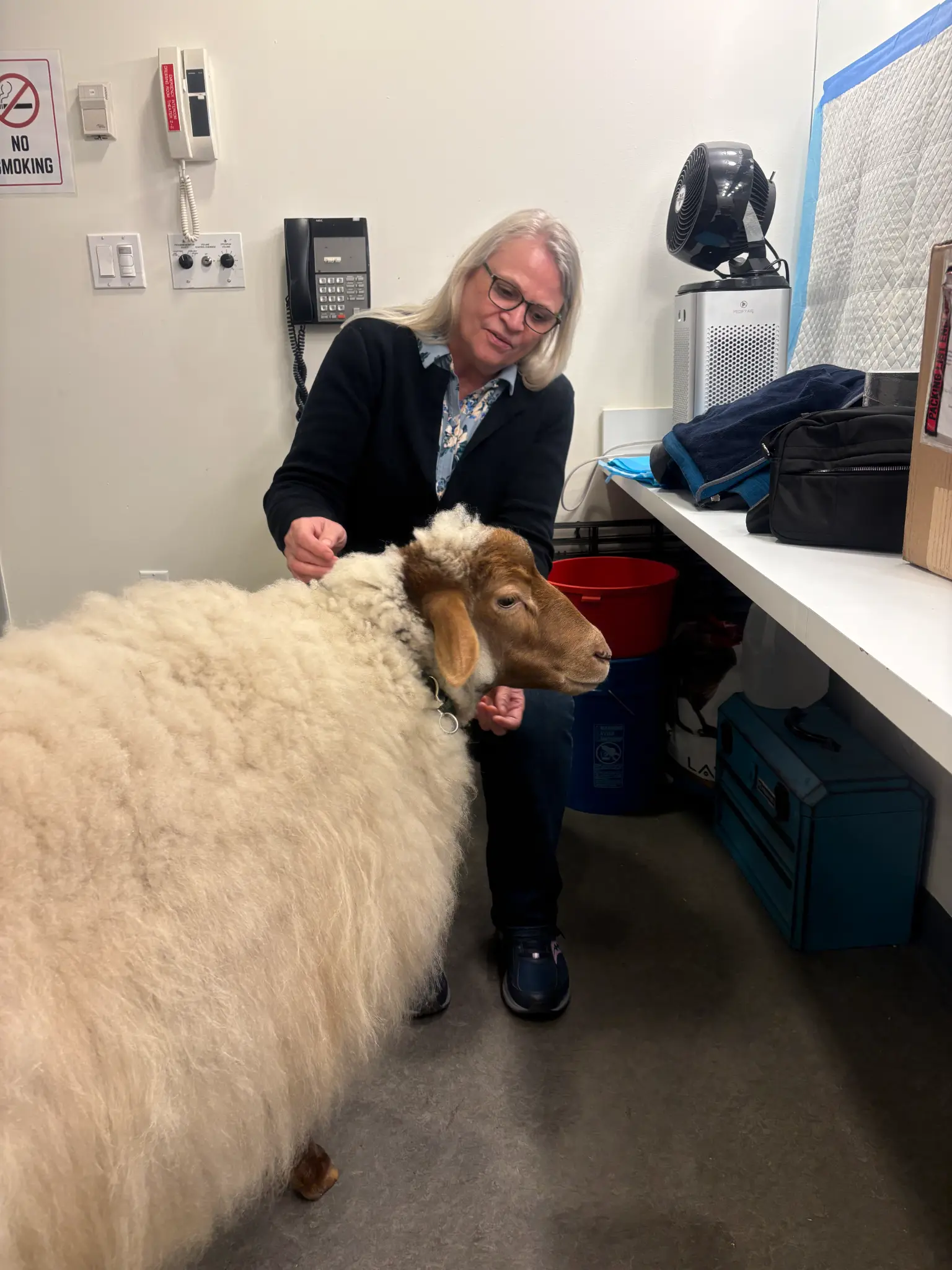 Karen (Lis's mom) with Lois the Sheep
